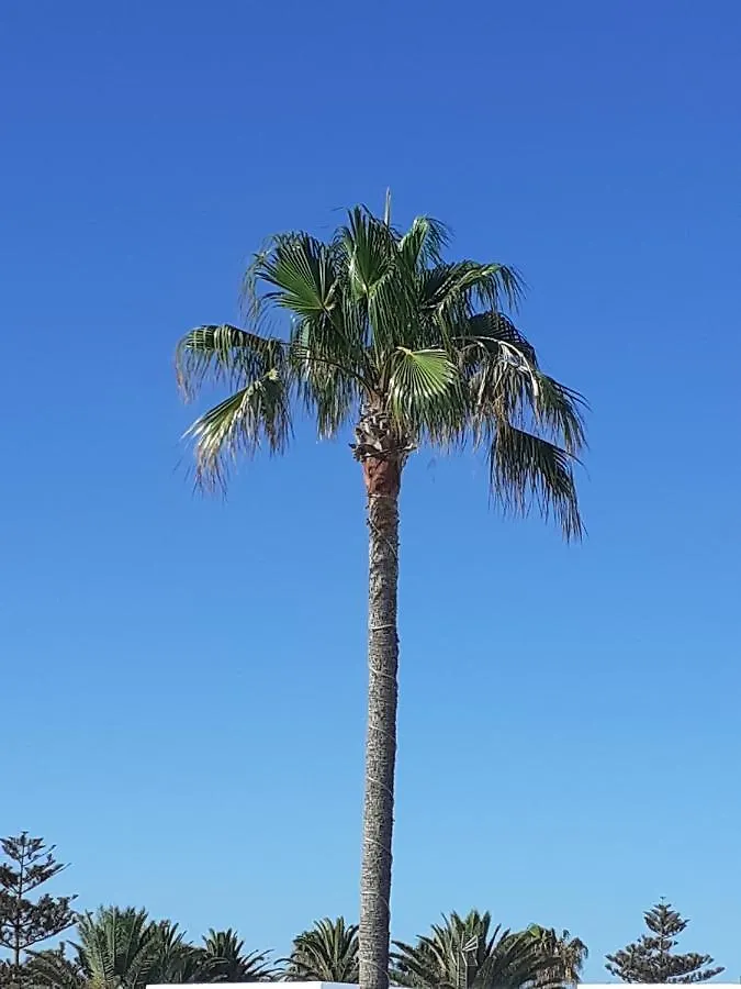 Casa Blanca Villa Arrecife  Spain